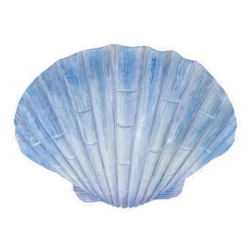 Ebros Gift Nautical Ocean Marine Life Aqua Blue Scallop Shell Seashell Exotic Shabby Chic Wall Decor Figurine 8.25