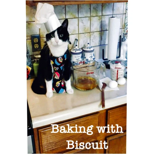 By Mr. Biscuit Boy (Author), Mrs. Stephanie Fletcher (Author), Mr. Nick D'Acre (Editor), Mr. Philip Calvin (Photographer) & 1 more Baking with Biscuit