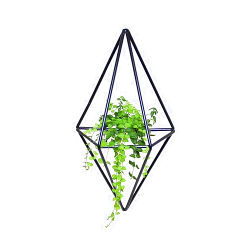 Luckystar4you Hanging Planter Air Rack Hanging Basket - Wall Vase & Geometric Deco, Planter for Indoor Plants, Succulents, Air Plants, Cacti, Artificial Plants and More