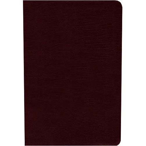 By Zondervan (Author) NIV, Thinline Bible, Compact, Bonded Leather, Burgundy, Red Letter Edition