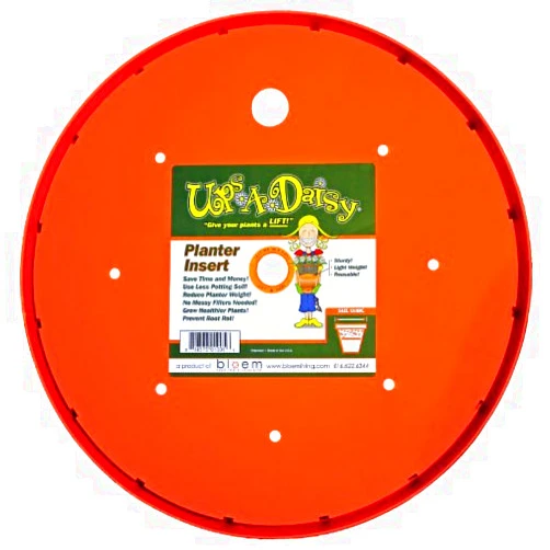Bloem Ups-A-Daisy Orange Plastic 1 in. H Round Plant Insert 1 pk