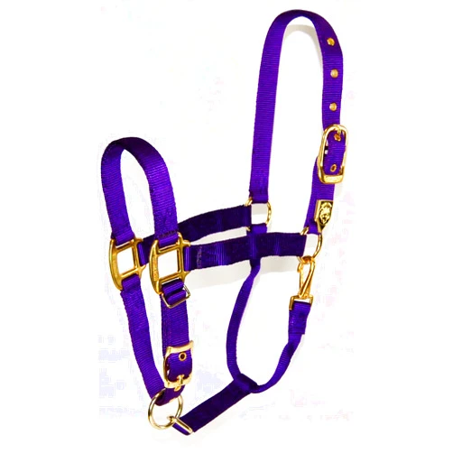 Hamilton 1-Inch Nylon Halter with Adjustable Chin, Purple - Average Size