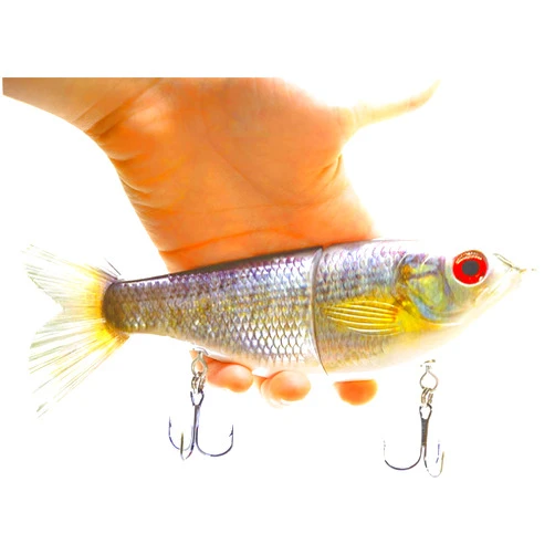 REAL FISH 7