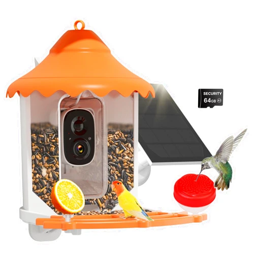 Hiseeu 3MP Bird Feeder with Camera, 2.5L, AI Identify 11000+ Birds Species, Solar Powered, Auto Capture Bird Videos & Motion Detection, Smart Bird Watching Camera Wireless Outdoor (Orange-64G)