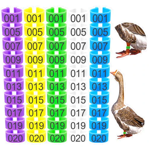 Keedolla 100Pcs 25mm Chicken Leg Rings Duck Leg Bands with 5 Color, Poultry Leg Bands Clip on Leg Rings for Ducks Guinea Goose Gamefowl Turkey - Large