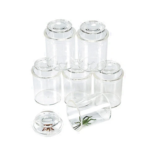 Fun Express See Through Bug Box Jars - 10 Pieces - Science Educational and Learning Activities for Kids