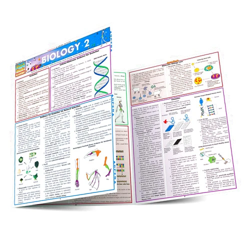 Inc. BarCharts Biology 2 (Quick Study Academic)