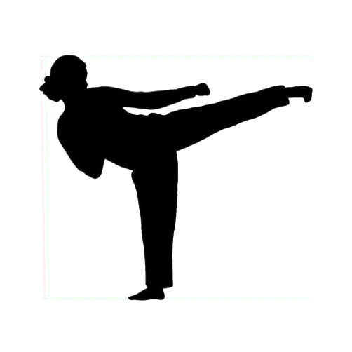 Ranger Products Karate Girl Sticker Car Window Decal Fight Woman Kick Neat Gift Vinyl Black Belt - Die cut vinyl decal for windows, cars, trucks, tool boxes, laptops, MacBook - virtually any hard, smooth surface