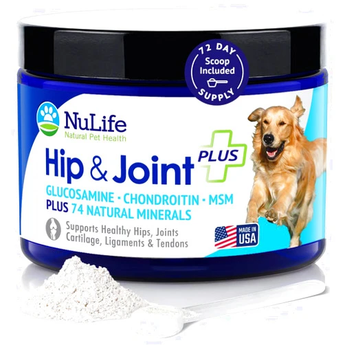 NuLife Natural Pet Health Advanced Glucosamine Powder for Dogs for Arthritis Pain Relief & Hip Dysplasia, Supports Joint Health & Reduces Inflammation with Glucosamine, Chondroitin, MSM & Coral Calcium, 6oz Powder