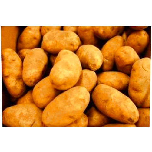 RUSSET POTATOES At The Neighborhood Corner POTATOES RUSSET FRESH PRODUCE 10 LBS