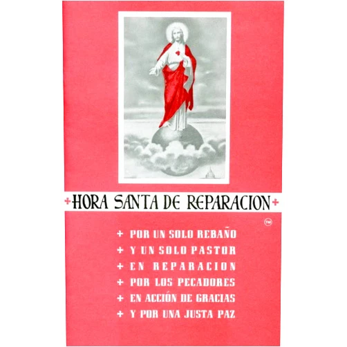 Soul Assurance Prayer Plan Hora Santa de Reparacion (Spanish Edition)