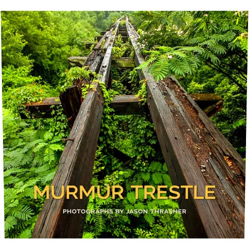 By Jason Thrasher (Author), Beth Hall Thrasher (Introduction), Patterson Hood (Foreword), J. Drew Lanham (Contributor) & 1 more Murmur Trestle