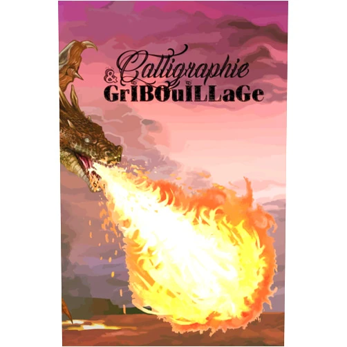 Calligraphie & Gribouillage: Carnet 100 pages pour notes et dessins, journal intime ou journal de voyage, etc.. (French Edition)