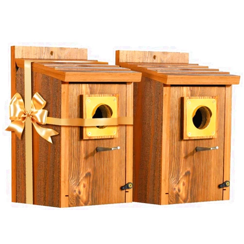 CEDAR ALPHA 2pk Premium Bluebird Outdoor - Stainless Steel Perch, Mesh Base & Brass Guard - Cedar Birdhouse for Bluebirds, Finches, Swallows Carbonized Outdoor Painted 5 Years Usage 6