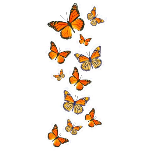 Butterfly Utopia 55 Monarch Butterfly Temporary Tattoos