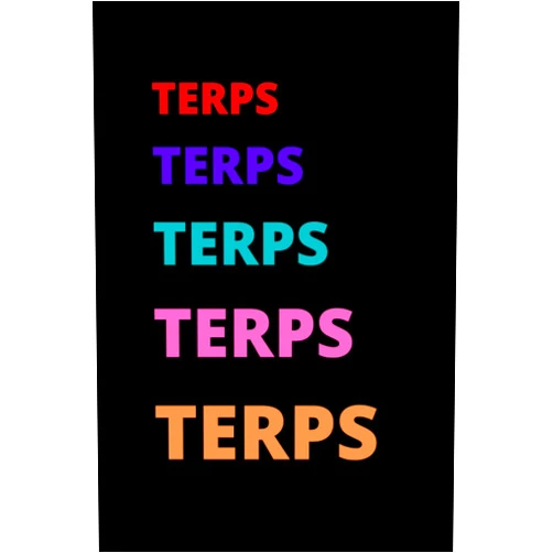 Kelly Houden Tay Terps Notebook: ASL or BSL Interpreter: We Can Sign journal