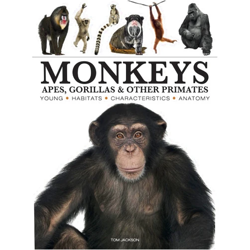 Tom Jackson Monkeys: Apes, Gorillas and other Primates (Mini Encyclopedias)