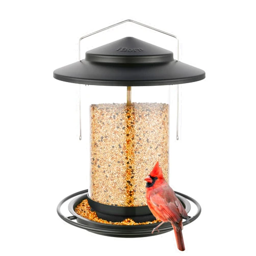 iBorn Metal Bird Feeder for Outside Hanging,Wild Bird Feeders for Cardinal,18cm Large Roof&Tray Black 6 Port (Seed is not Included)