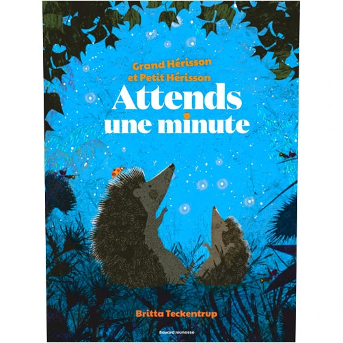 French Edition by Britta Teckentrup (Author, Illustrator), Anne Bideault (Translator) Attends une minute (Grand Hérisson et petit hérisson)