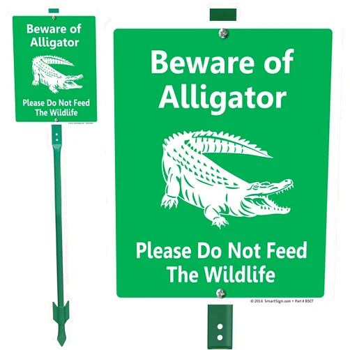 SmartSign 12 x 10 inch “Beware Of Alligator - Please Do Not Feed The Wildlife” LawnBoss Yard Sign with 3 foot Stake, 40 mil Laminated Rustproof Aluminum, White and Green, Set of 1, Made in USA