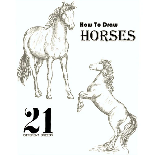 By Jensen Baker (Author) How To Draw Horses: Step-by-step instructions for 20 different breeds, Broncos, Arabians, Thoroughbreds, Dancers, Prancers, and Many More... (Learn to Draw).