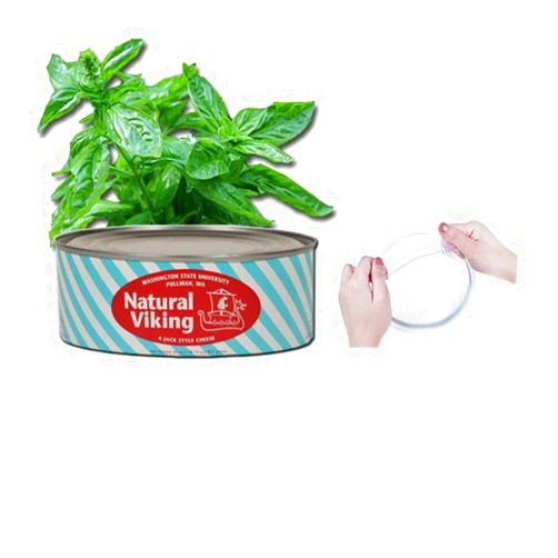 Washington State University / Topmin WSU Sweet Basil Cheese and Topmin Silicone Stretch Lid