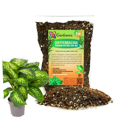 Gardenera Premium DIEFFENBACHIA Potting Soil Mix - Ideal for Growing Robust and Healthy Dieffenbachia - 1 Quart