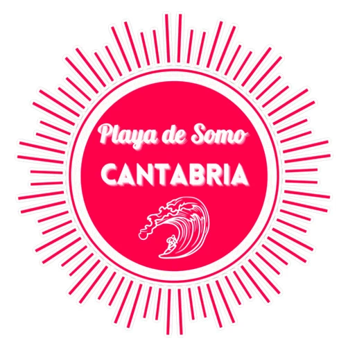 Fink Studio Playa De Somo Catabria Surfer Design Logo Surfer Design Logo Vinyl Sticker Waterproof Decal Laptop Wall Window Bumper Sticker 5