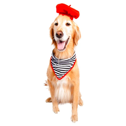 PET KREWE UNLEASH THE PARADE French Beret & Scarf Pet Costume - Two Piece Beret & Scarf Set - Dog & Cat Costume - One Size