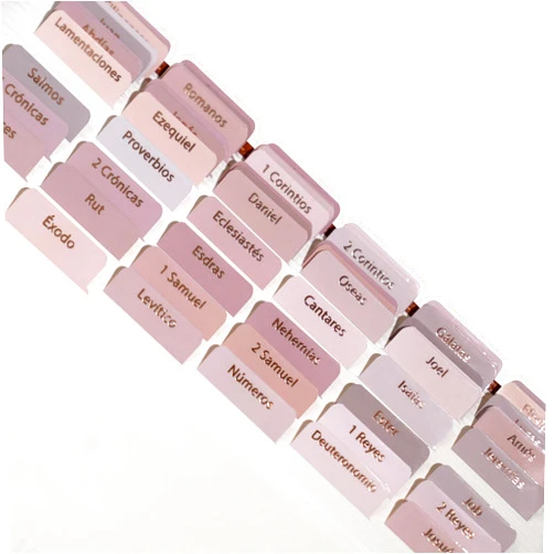 Idyllic Grace - Spanish Elevated - Pestañas de la Biblias - Rose Gold Foil - Bible Study - Old and New Testament - Christian - Catholic - Index Tabs - 75 Tabs - Glossy Laminated - Durable