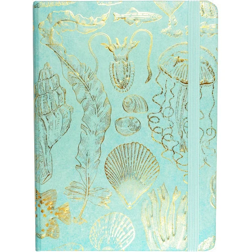 By Peter Pauper Press (Author) Sealife Sketches Journal (Diary, Notebook)