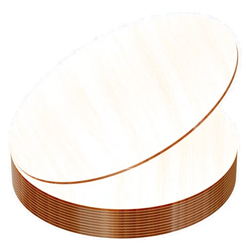 JOICEE 12PACK Wood Rounds for Crafts, 12 Inch Unfinished Wood Circles Discs for Door Hanger Sign Blank, Particle Board for Wreath Boards Crafts Painting and Christmas Halloween Decoration