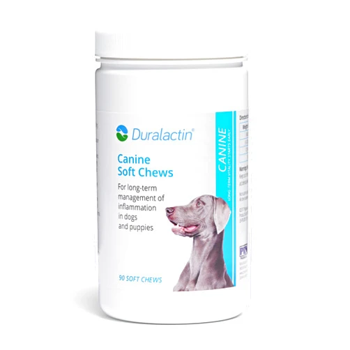 PRN Pharmacal Inc PRN Pharmacal Duralactin Canine Soft Chews - Joint Health Supplement for Dogs & Puppies to Help Reduce Chronic Soreness - Canine Chews Containing Dried Milk Protein - Chicken-Liver Flavor - 90 Chews