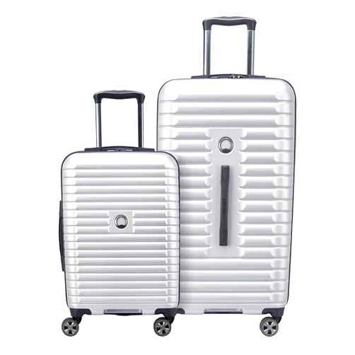 DELSEY PARIS Delsey 2-piece Hardside Trunk Set (Silver)