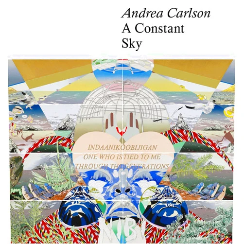 Dakota Hoska,Aruna Dsouza,Heid Erdrich Andrea Carlson: A Constant Sky