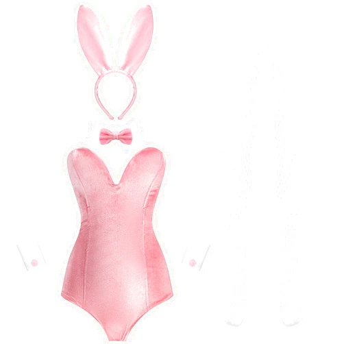 Cozypower Women Easter Velvet Bunny Costume Girl Bodysuit Leotard Stockings Rabbit Ear Headband Bow Tie Cosplay