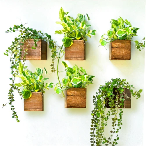 LáLáGreen LaLaGreen Wood Planter Boxes for Indoor Plants (4x4 Inch, 6 Pack) Small Square Wall Mounted Planters Flower Pot, Herb Wooden Box Hanging Plant Holder Outdoor Balcony Vertical Garden Modern Home Decor