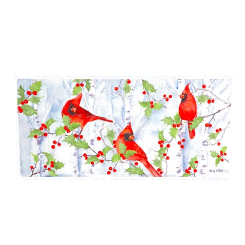 Evergreen Flag Evergreen Winter Visit Sassafras Switch Mat Inserts, Interchangeable Front Door Mat Outdoor Entrance, Indoor Door Mats for Entryway, 22 x 10 Inches Sassafras Doormat Inserts