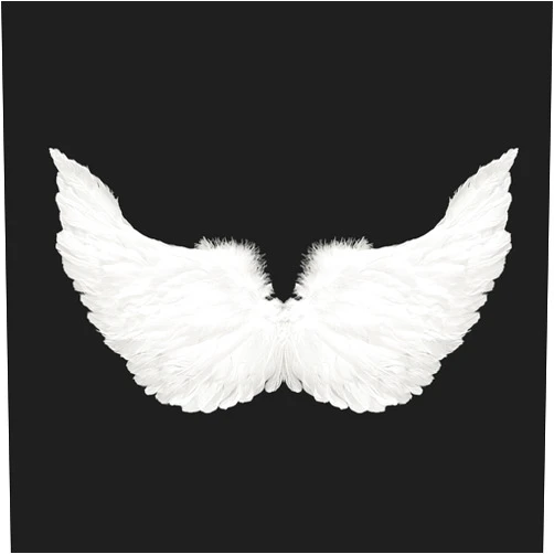 MUSE DECOR Angel Wings and Halo for Adult, Feather Angel Wings Costume for Girls Kids Party Children's Halloween Christmas