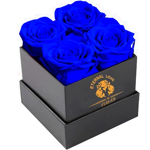 OTAOATO Flowers for Delivery Prime - Roses in a Box - Fresh Flowers - Forever Rose - Birthday Gifts for Women - Preserved Roses, Gifts for Mom/Girlfriend/Wife/Grandma