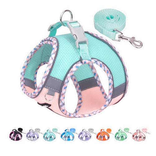AIITLE Dog Harness and Leash Set,No Pull Step in Puppy Harness with Super Breathable Mesh, Reflective Adjustable Pet Harness for Outdoor Walking, Training for Small Dogs, Cats Turquoise-Pink XS