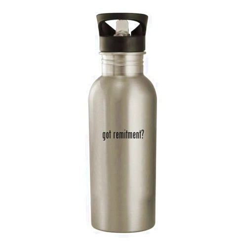 Knick Knack Gifts got remitment? - 20oz Stainless Steel Water Bottle, Silver