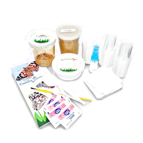 Nature Gift Store 32 Live Caterpillars Shipped Now: Butterfly Kit Refill for School Sized Kit with Extra Larva Rearing Supplies by Nature Gift Store