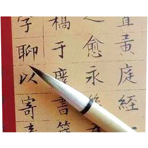 MasterChinese 100 SMALL qing zhu