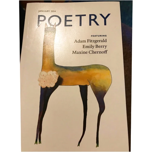 Ss poetry paperback january 2014 adam fitzgerald emily berry maxine chernoff