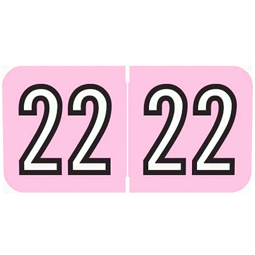 Doctor Stuff - 2022 Year Labels, Amerifile Compatible Series, Pink/Black Colored Year Stickers for End Tab File Folders, 500/Roll, 1 Roll, 3/4
