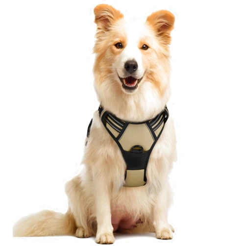rabbitgoo Dog Harness No Pull with 2 Leash Clips, Adjustable Soft Padded, Reflective Oxford No Choke Pet Vest with Easy Control Handle for Medium Sized Dogs, Beige, M
