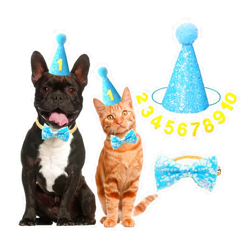 IDOLPET Dog Cat Birthday Hat Dog Cat Girl Boy Birthday Party Hat with Cute Bow Tie for Small Medium Puppies Dogs Cats Dog Wedding Collar Outfit (Blue)