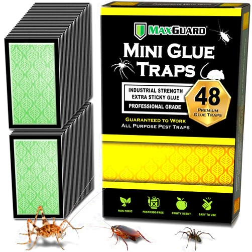 MaxGuard Mini Glue Traps (48 Traps) Non-Toxic Extra Sticky Glue Board Pre-Baited with Fruity Scent Attractant Trap & Kill Insects, Bugs, Spiders, Crickets, Scorpions, Cockroaches, Centipedes, Mice