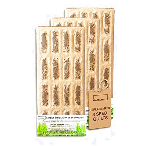 HAMAMA Microgreens Growing Kit Replacements - Wheatgrass Indoor Sprouts Mat - Seed Quilts Easy Setup Pack of 3 - No Tray Only Seeds Refills